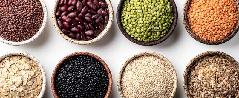 Grains fields